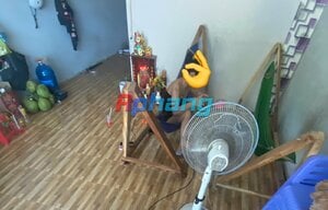 IMG_2255.jpeg