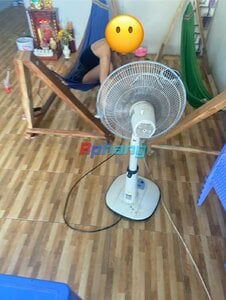 IMG_2256.jpeg