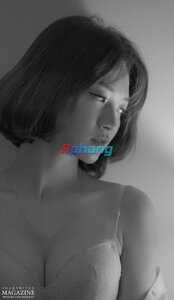 IMG_2900.jpeg