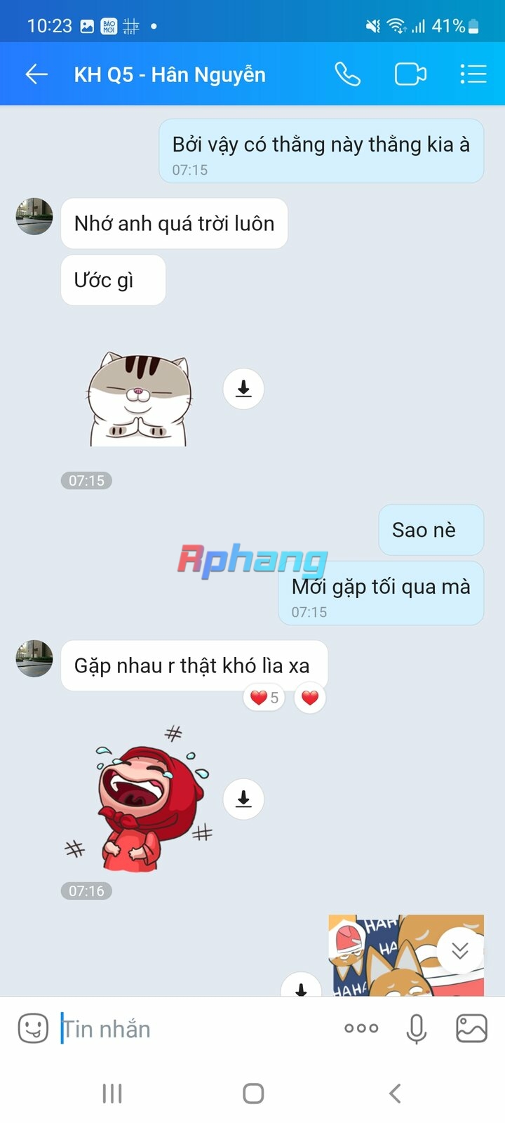 ce03f79beaf646a81fe72.jpg
