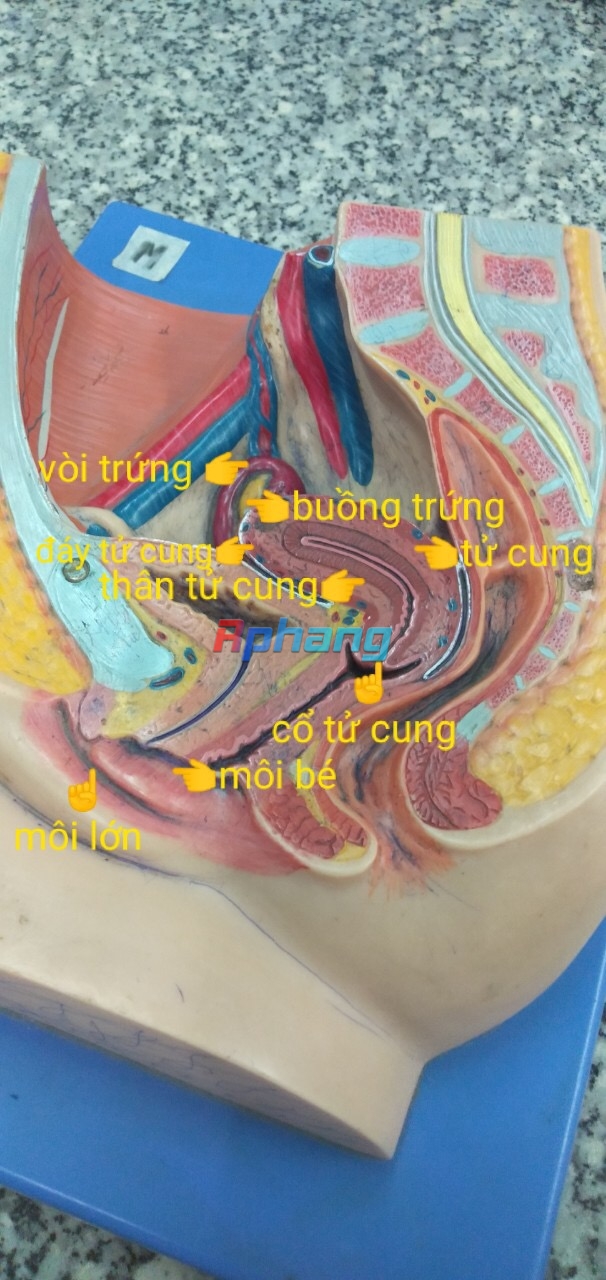 0343E870-5C35-46C3-9B8B-4196880BCE1B.jpeg