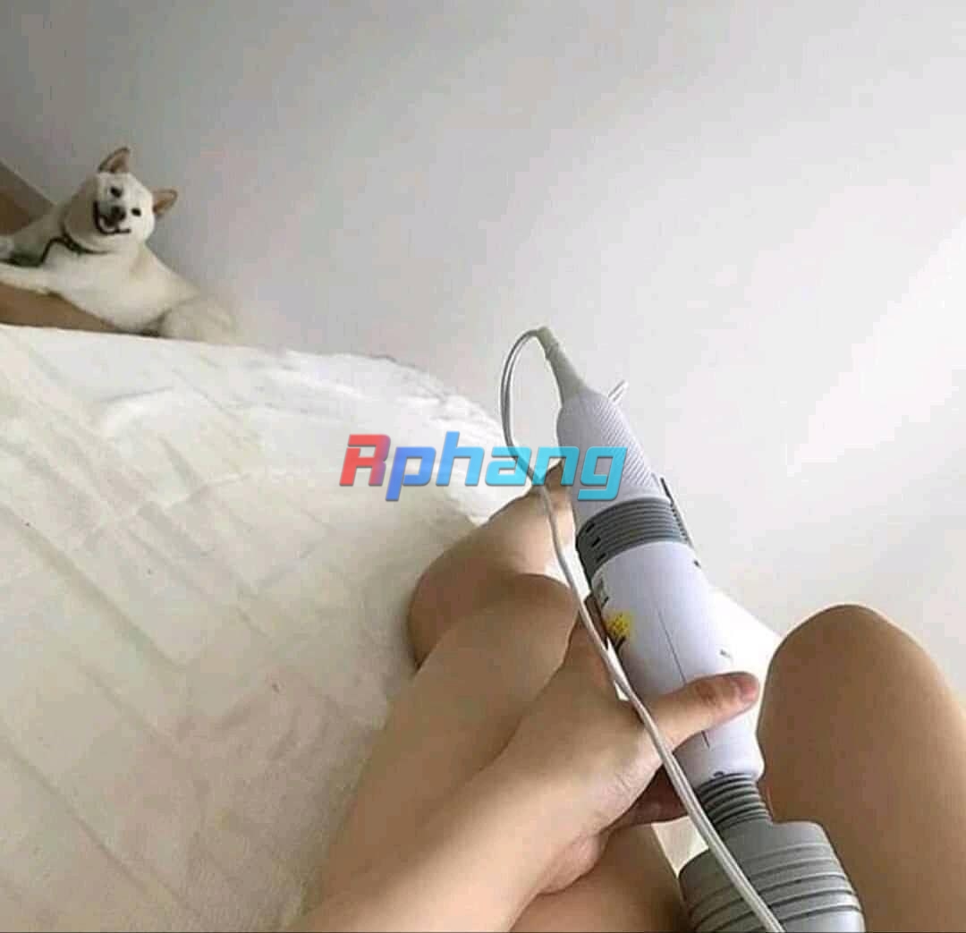 5c75c7ad9bb637e86ea74.jpg