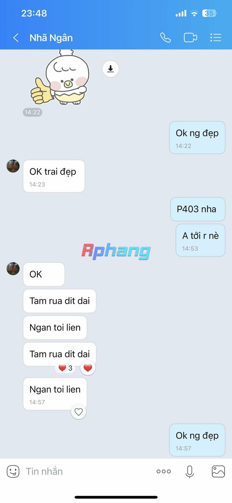 941b3810d3cb7f9526da.jpg