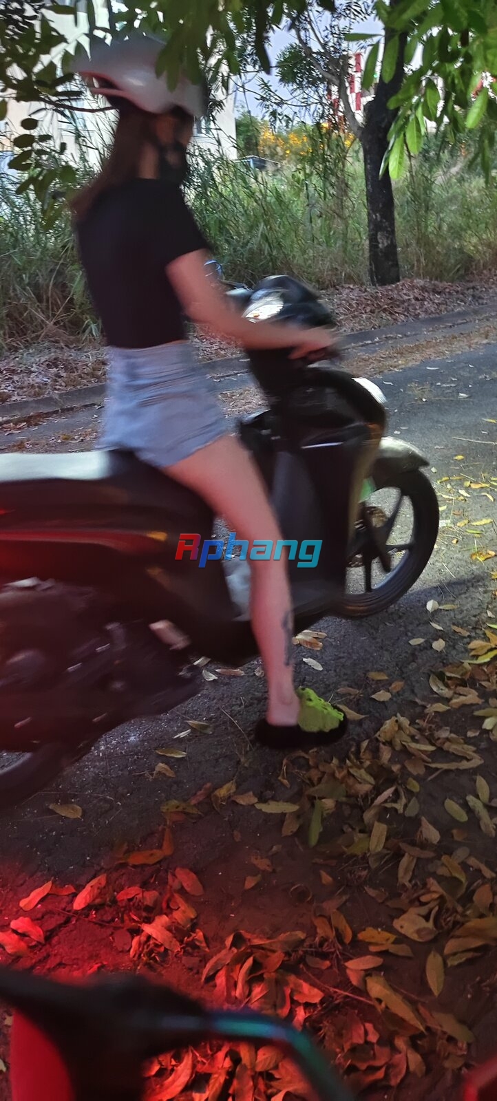 1000004036.jpg