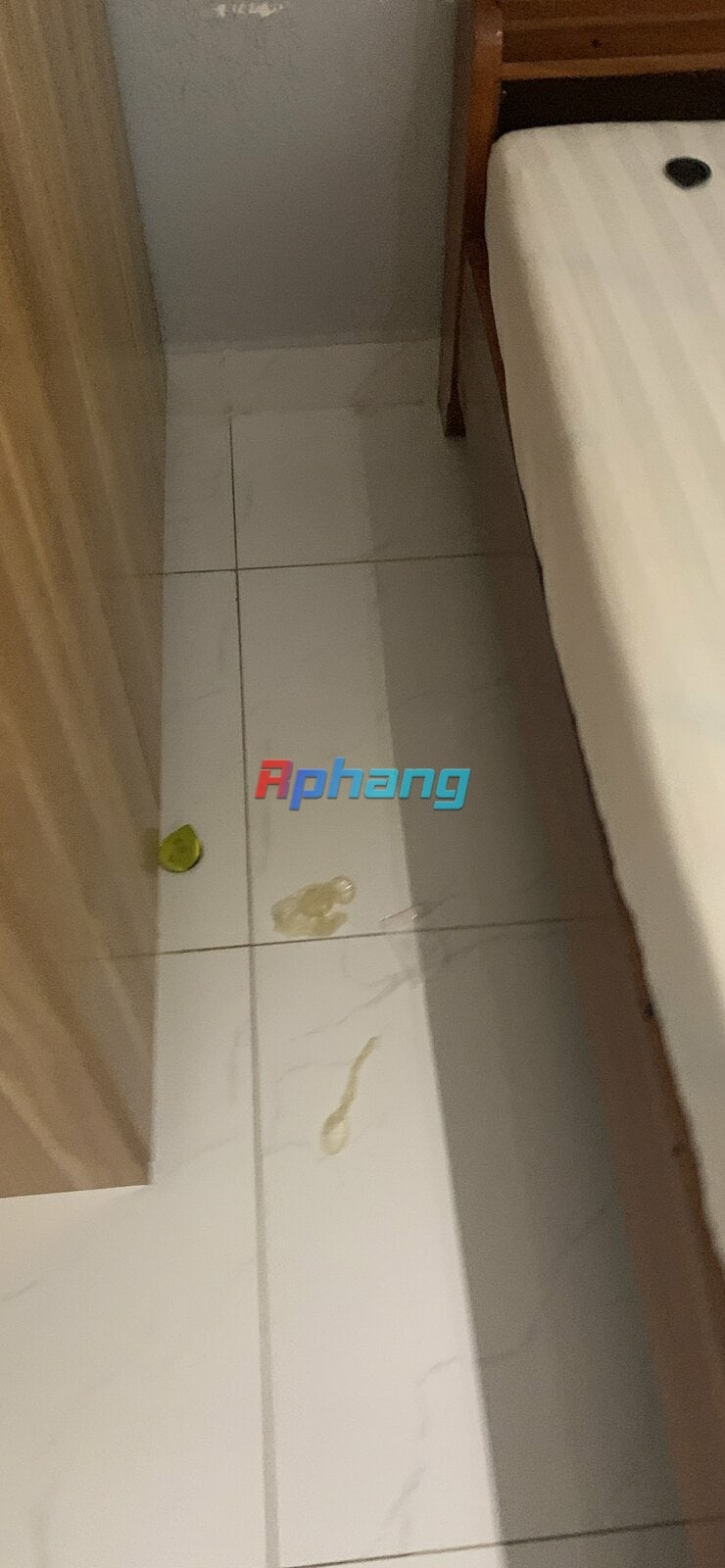 1710757199962.jpeg