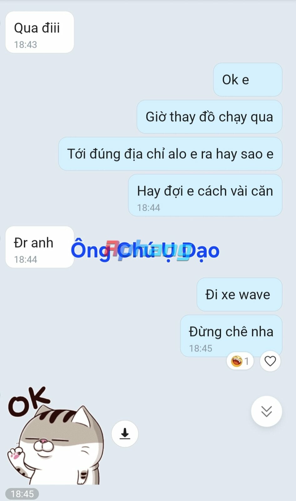 1000017570.jpg