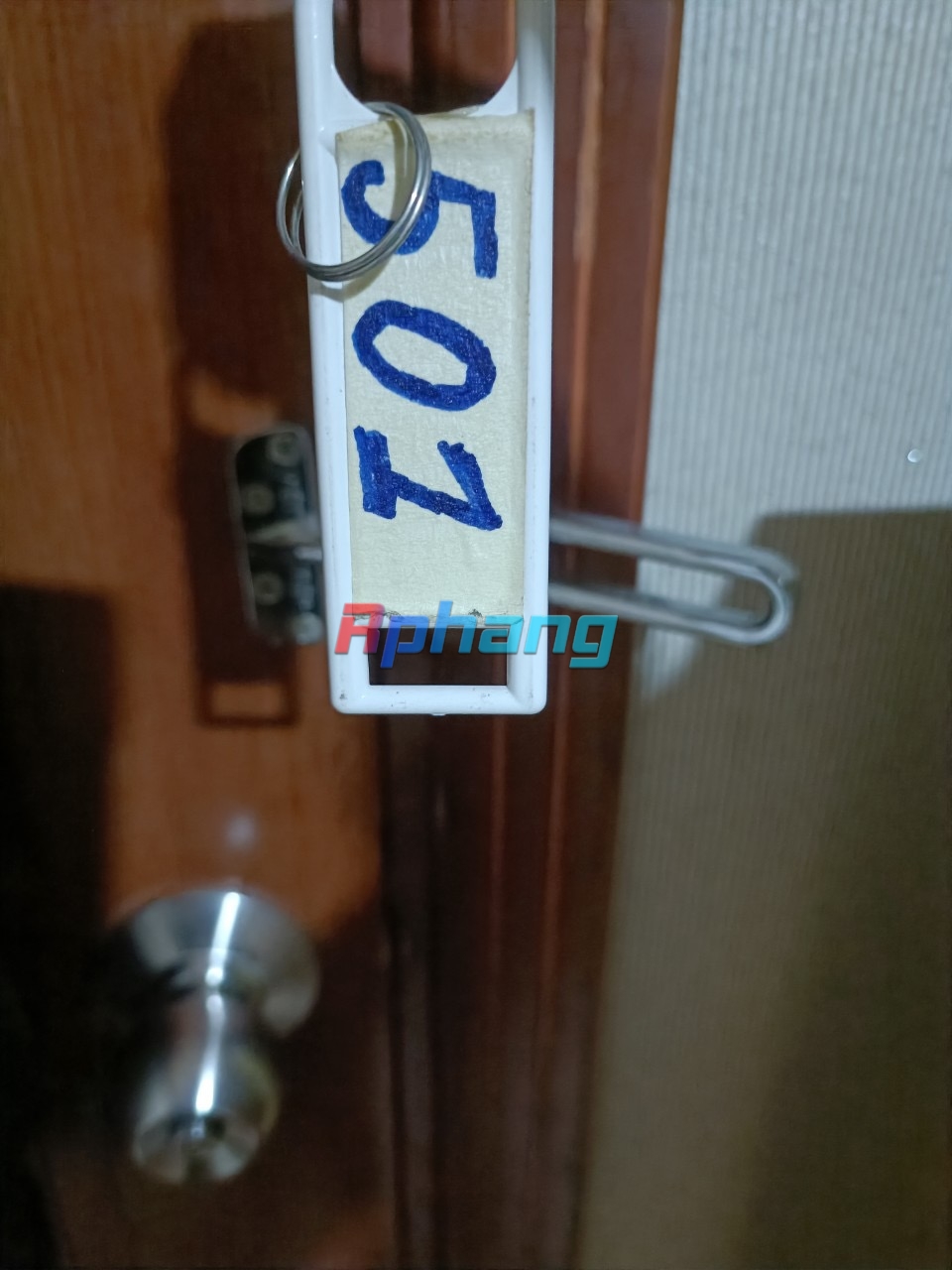 IMG_8356.jpeg