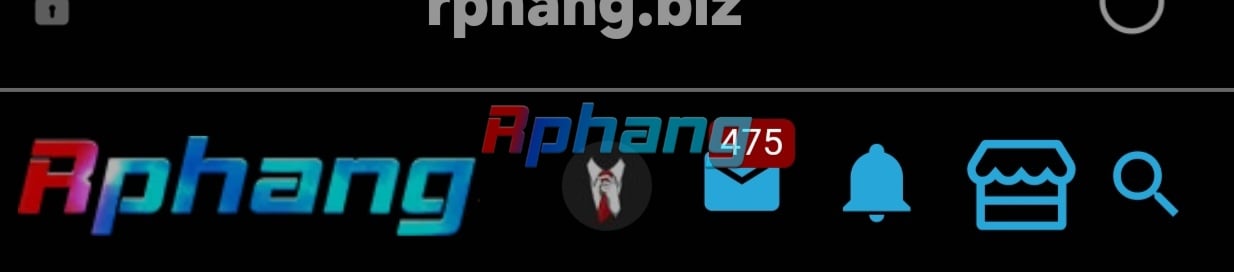 Screenshot_20240327_181307_Samsung Internet.jpg