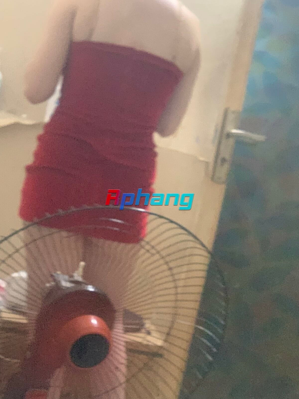 IMG_1384.jpeg