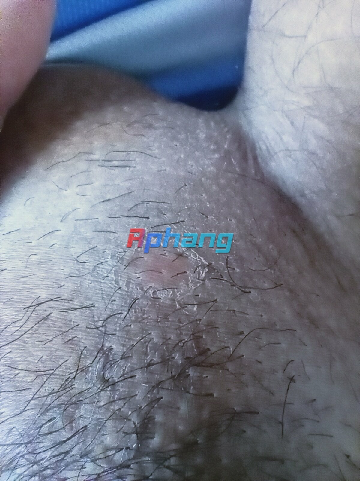 IMG20240428003133.jpg