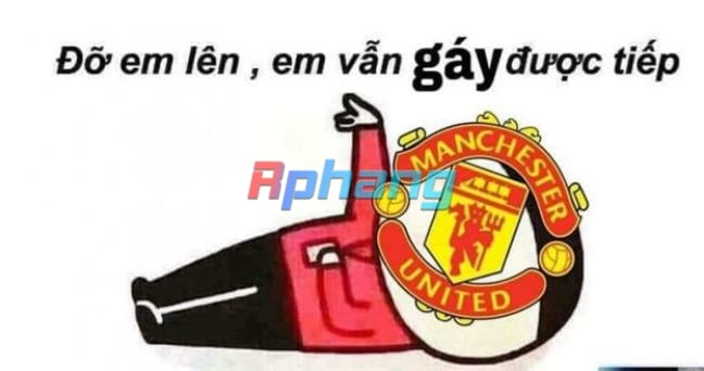fan_mu_la_gi.jpg