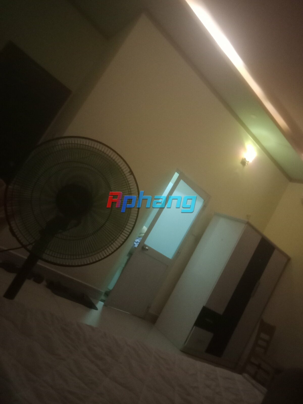 IMG20240513174231.jpg