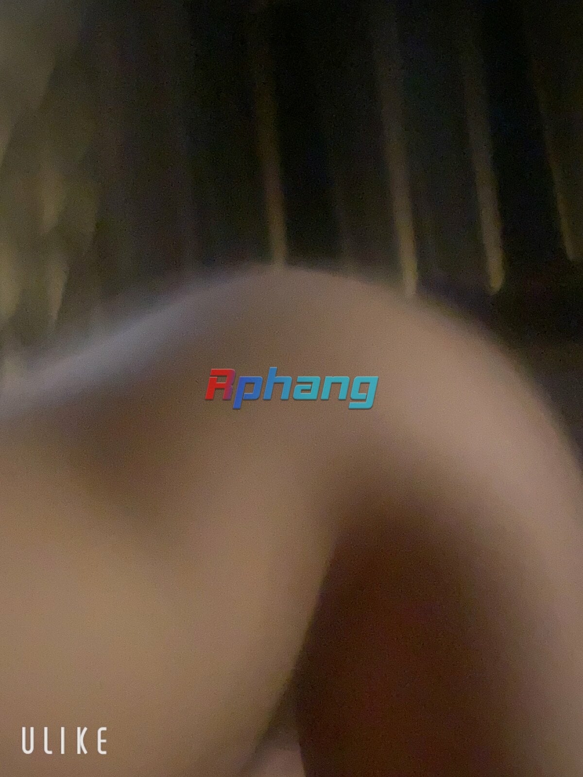 EECC2502-ECC1-4D73-B829-E683B5B93635.jpeg