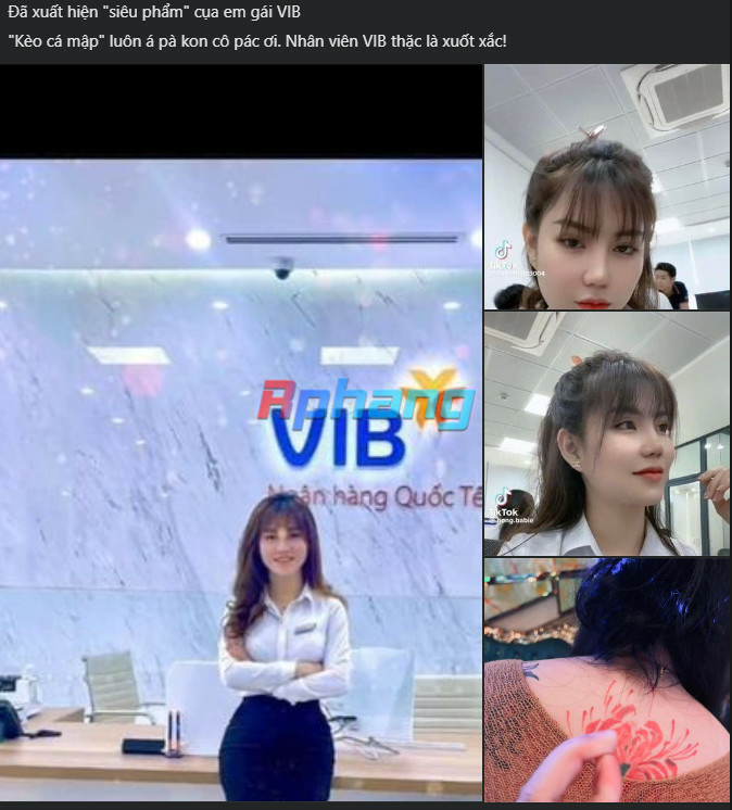 886f6fd17b80dade8391.jpg