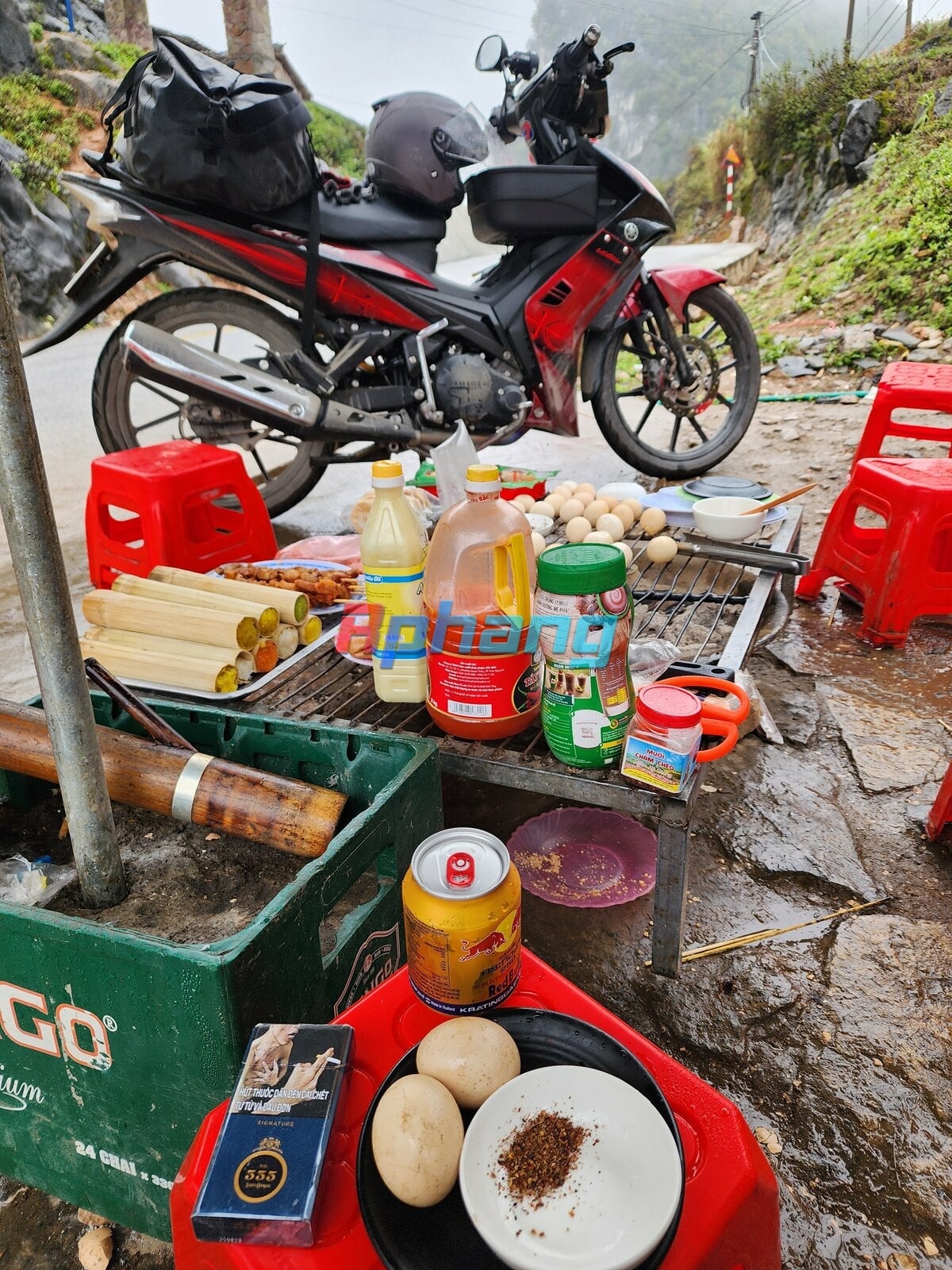 1000016992.jpg