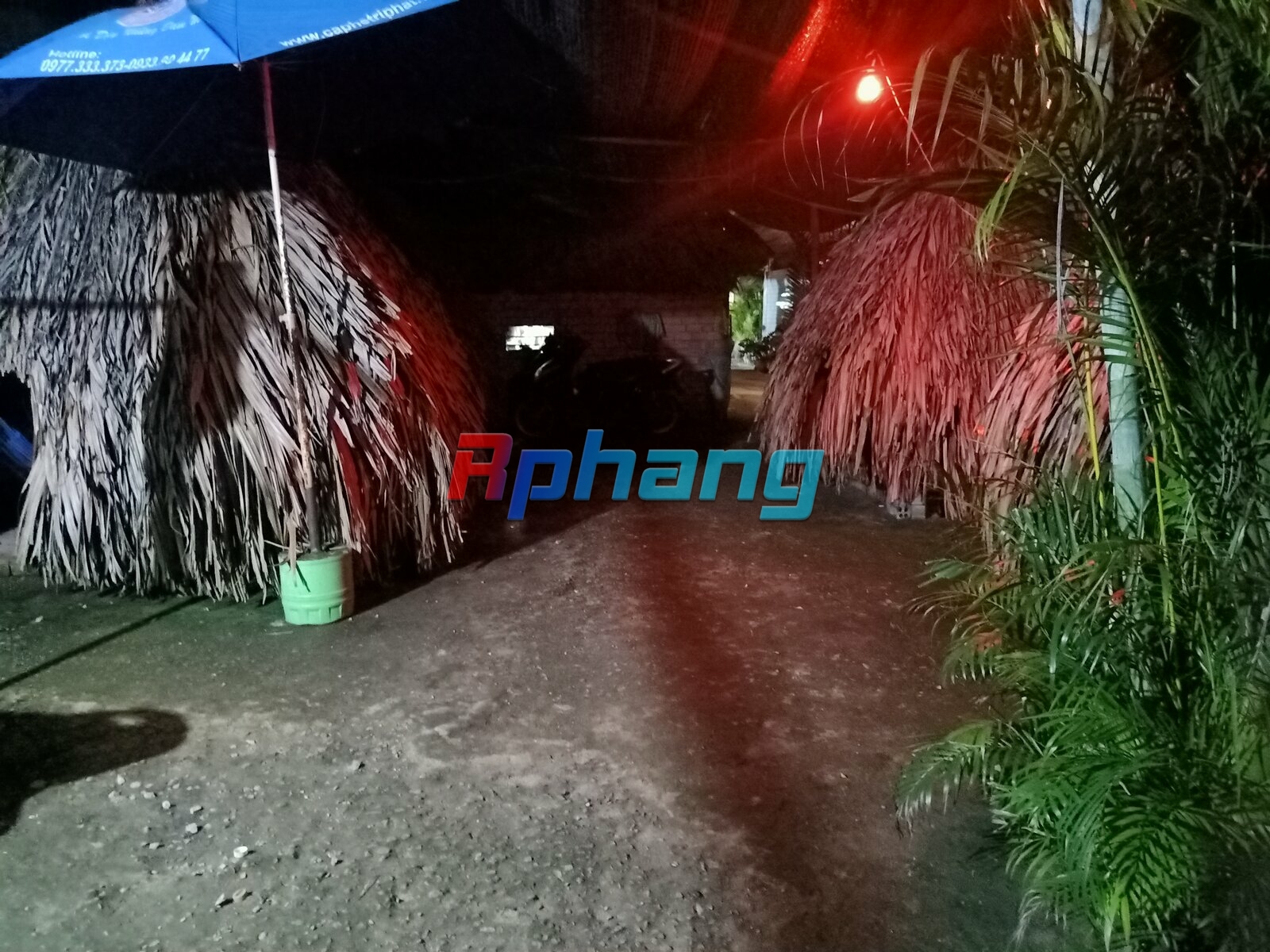 IMG20240616194646.jpg