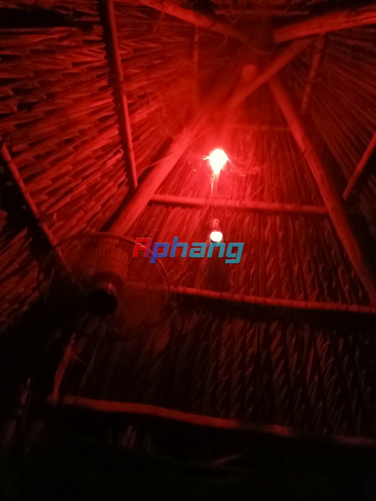IMG20240616194621.jpg