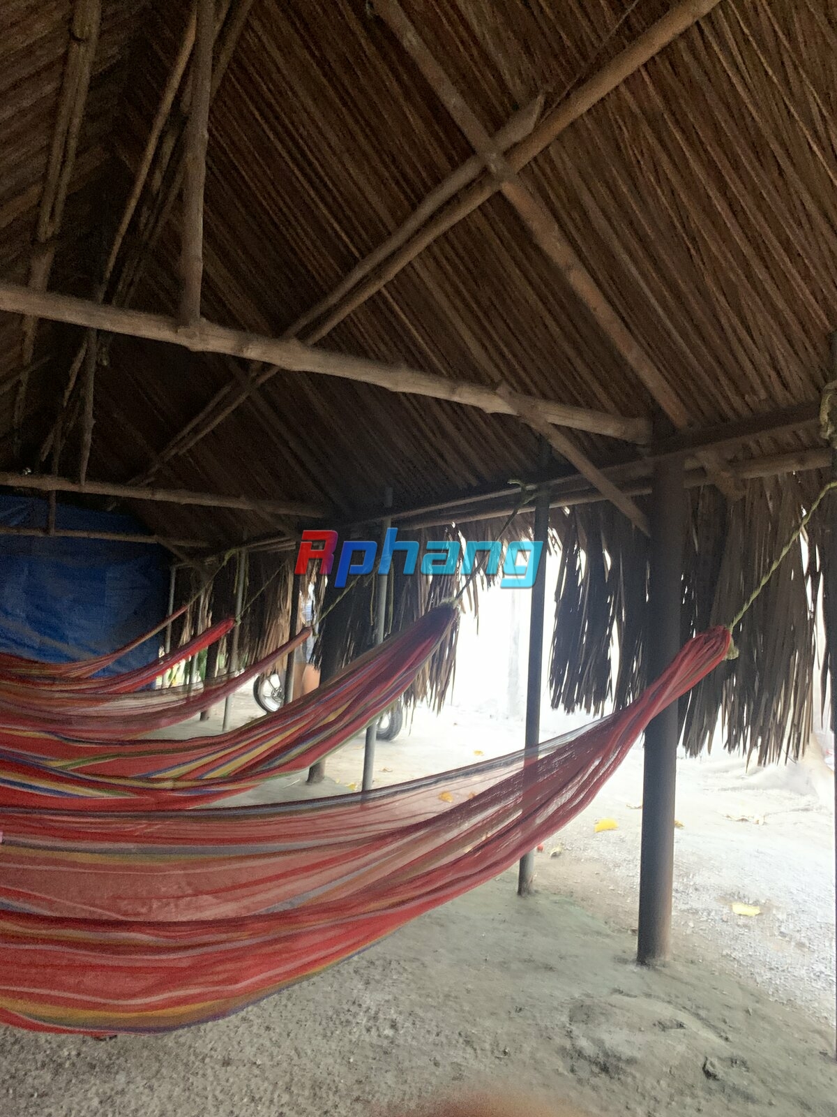 IMG_0173.jpeg