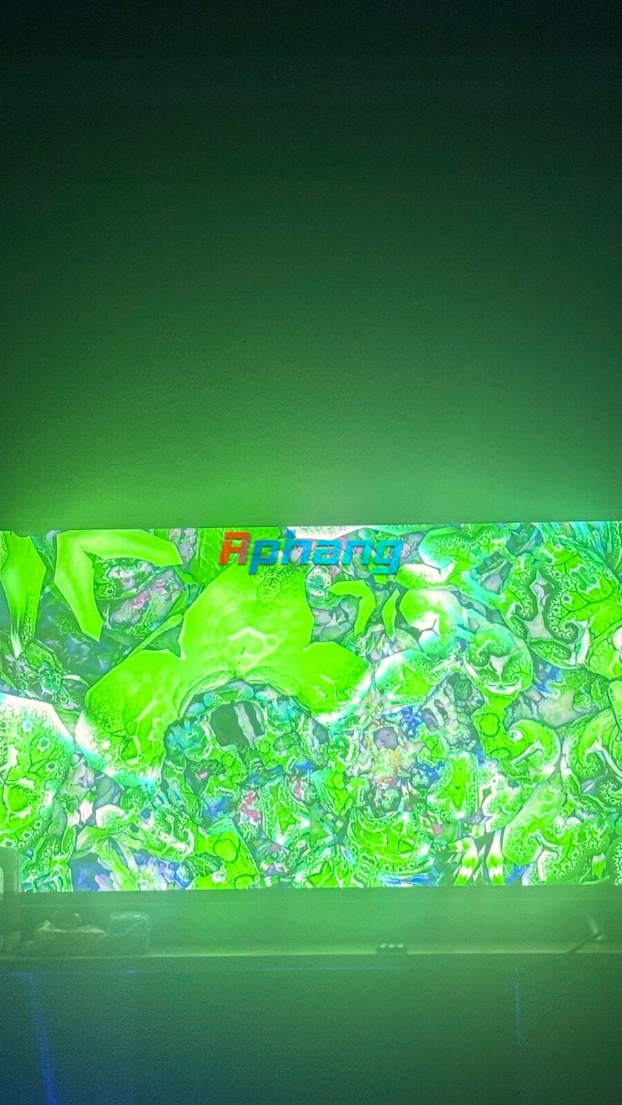 IMG_0552.jpeg
