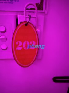IMG_2173.jpeg