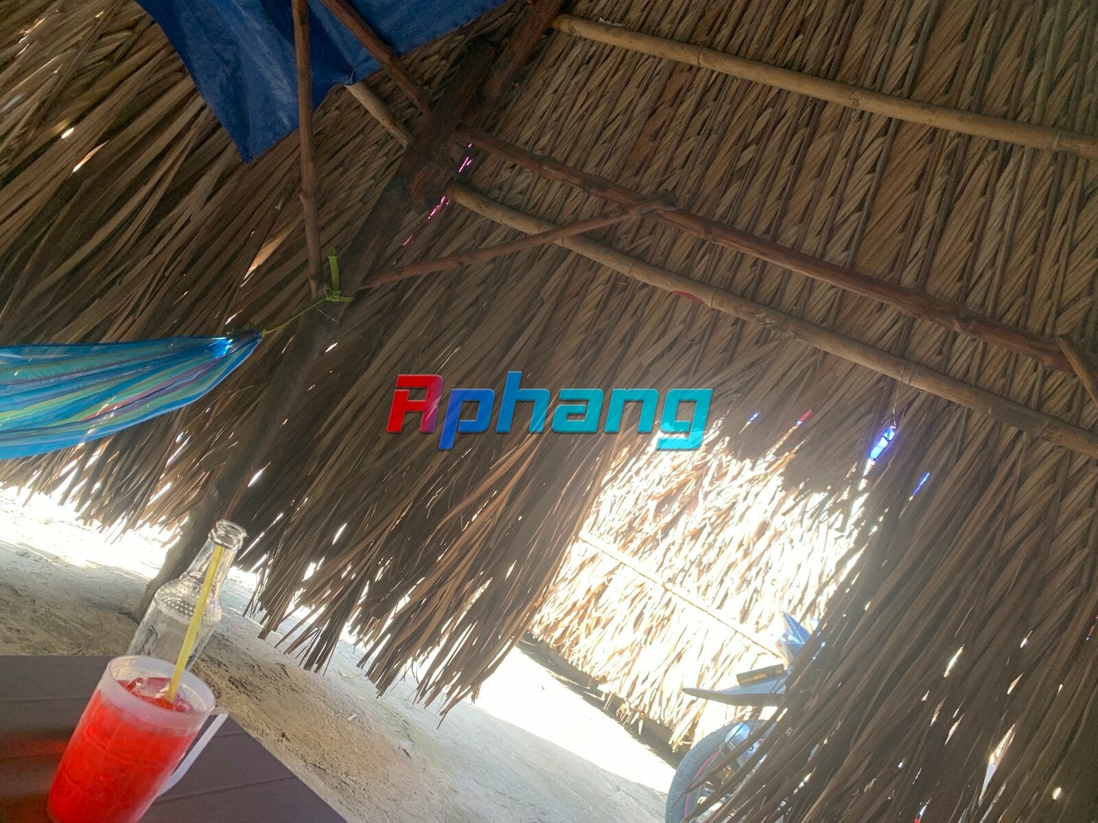 IMG_4548.jpeg
