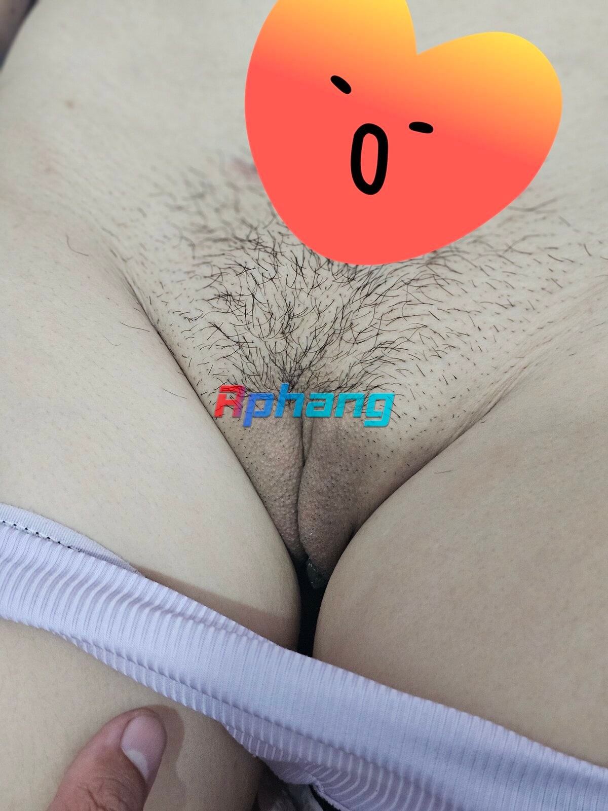 1000032703.jpg