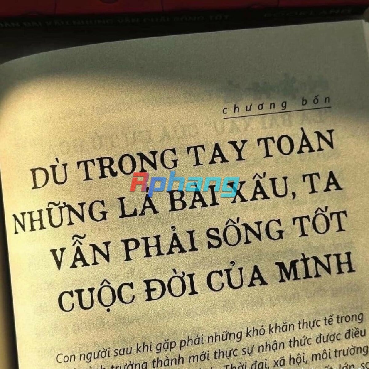 Phương 2323