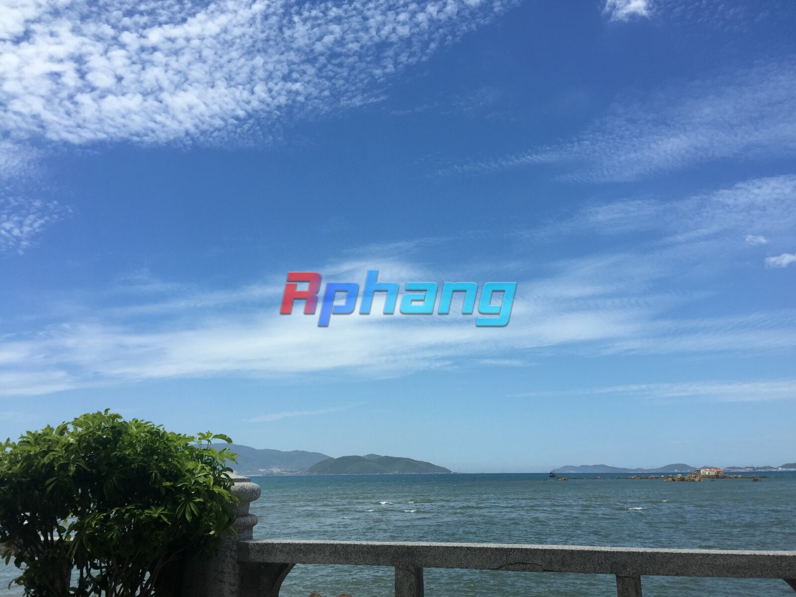 IMG_3405.jpeg