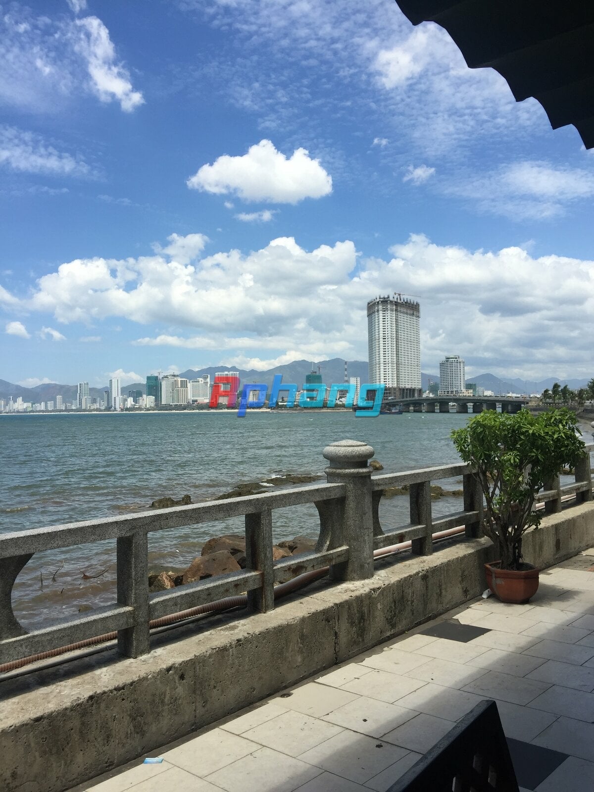 IMG_3401.jpeg
