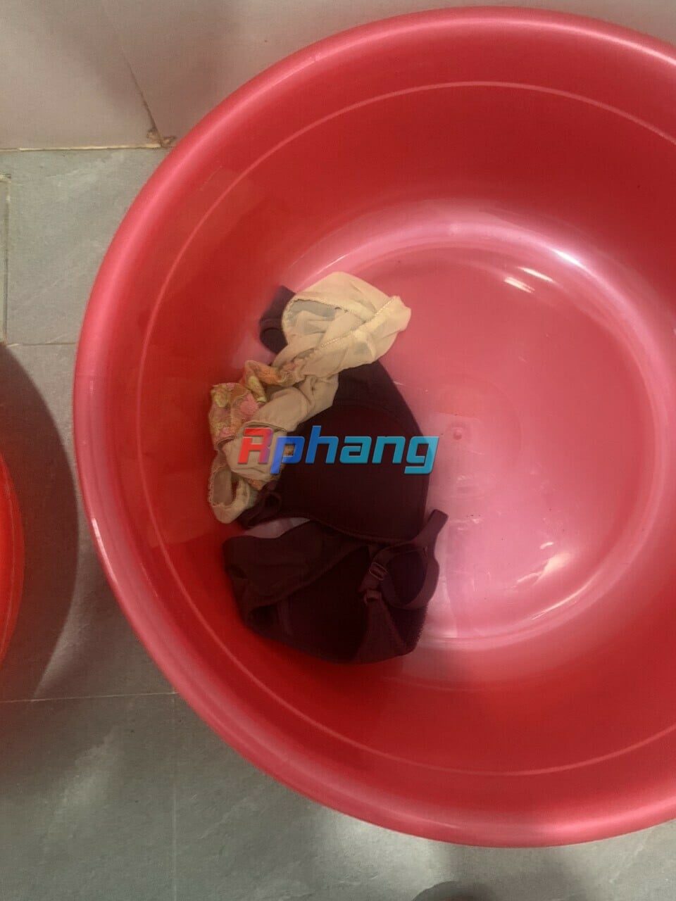 1000002834.jpg
