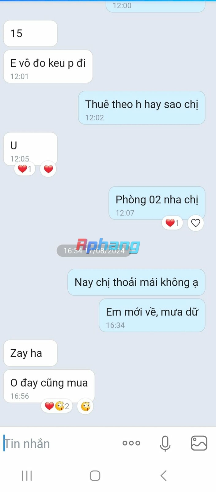 cb5aba184afceea2b7ed.jpg