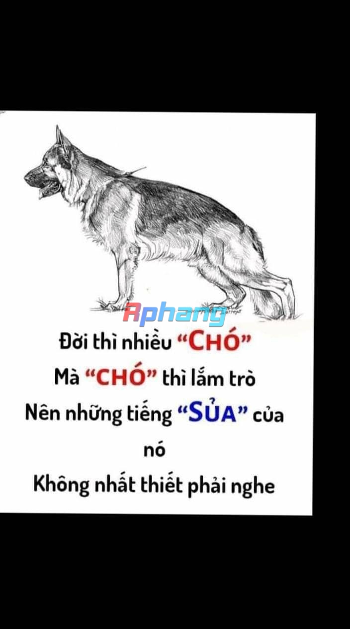 FB_IMG_1724268224921.jpg