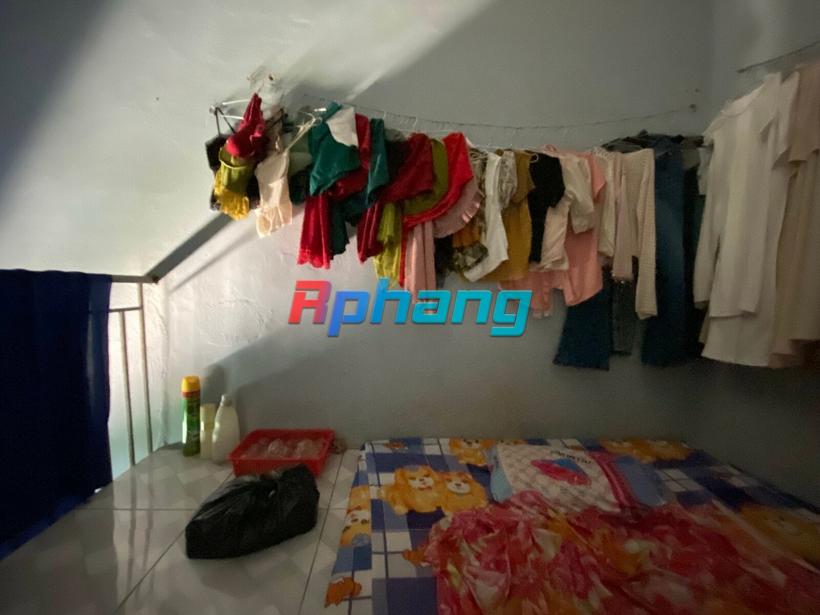 IMG_7272.jpeg