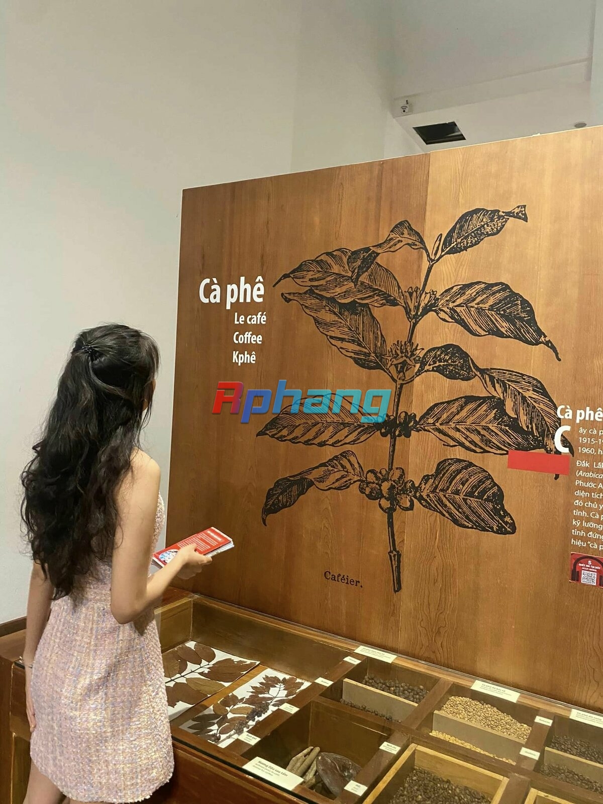 rp1.jpg