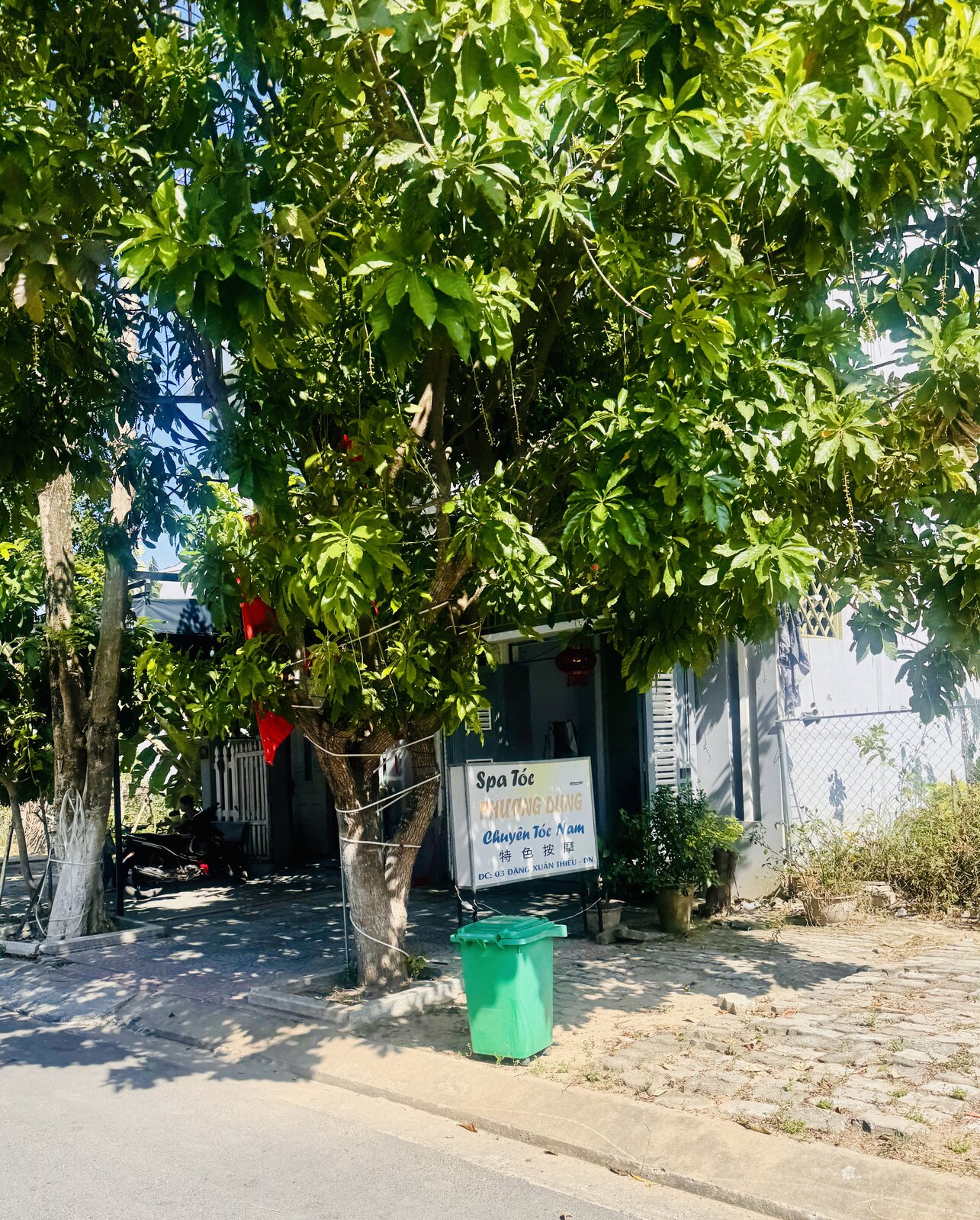 IMG_3650.jpeg
