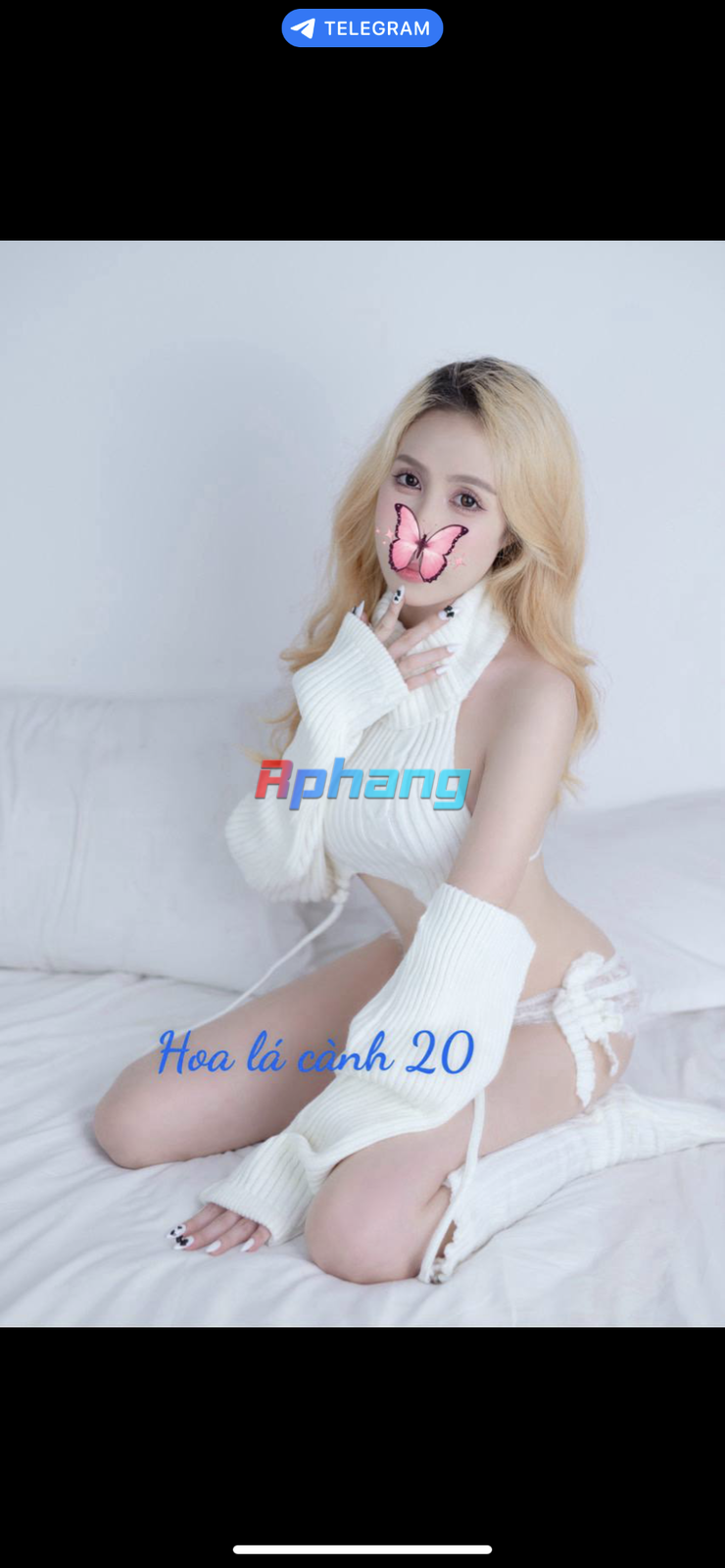 IMG_9774.png
