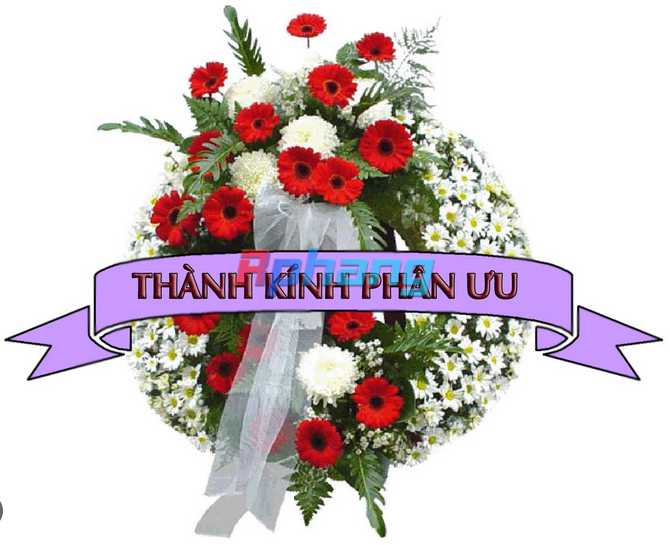 1726431294284.png