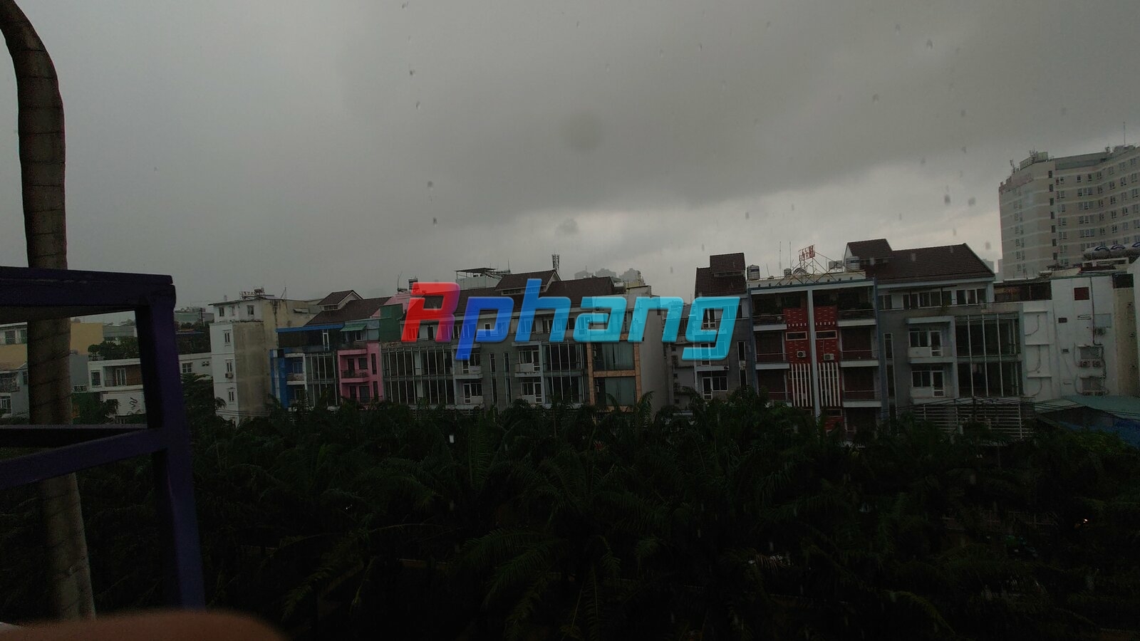 20240917_150014.JPG