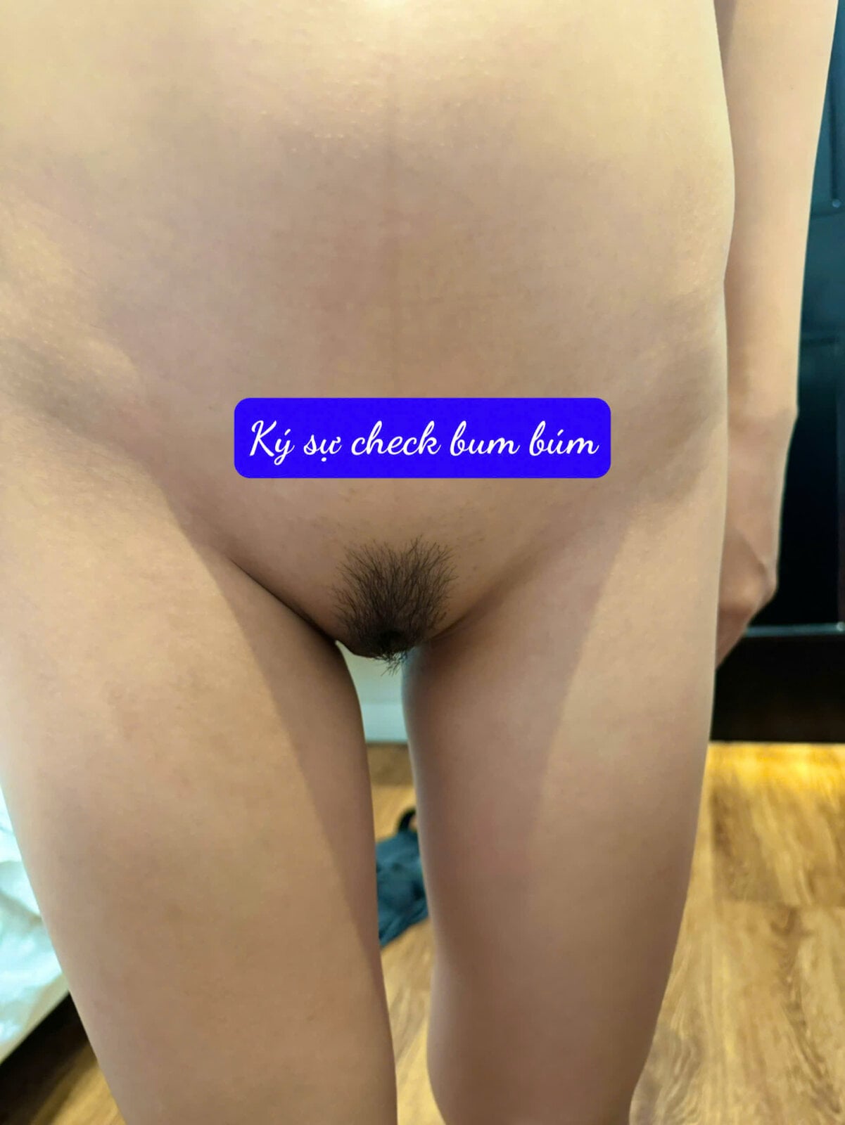 2a5134d740a4e6fabfb512.jpg