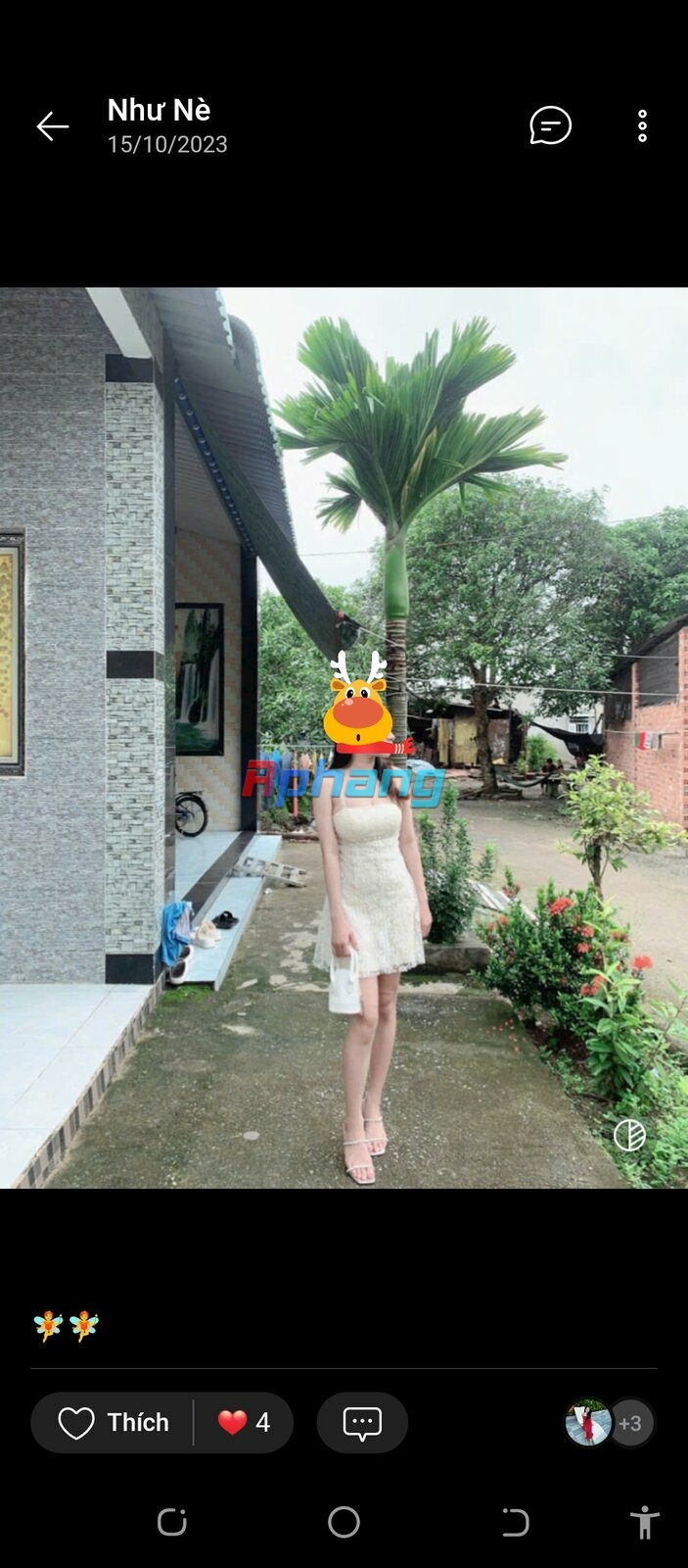 Screenshot_20240922-095257_1.jpg