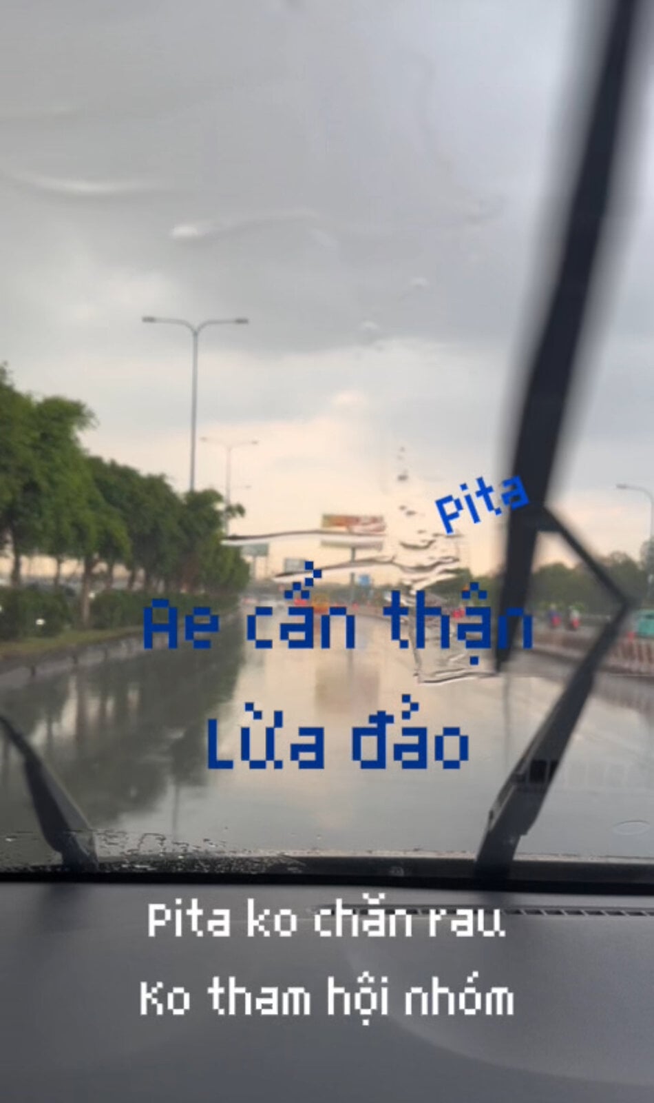 IMG_9960.jpeg