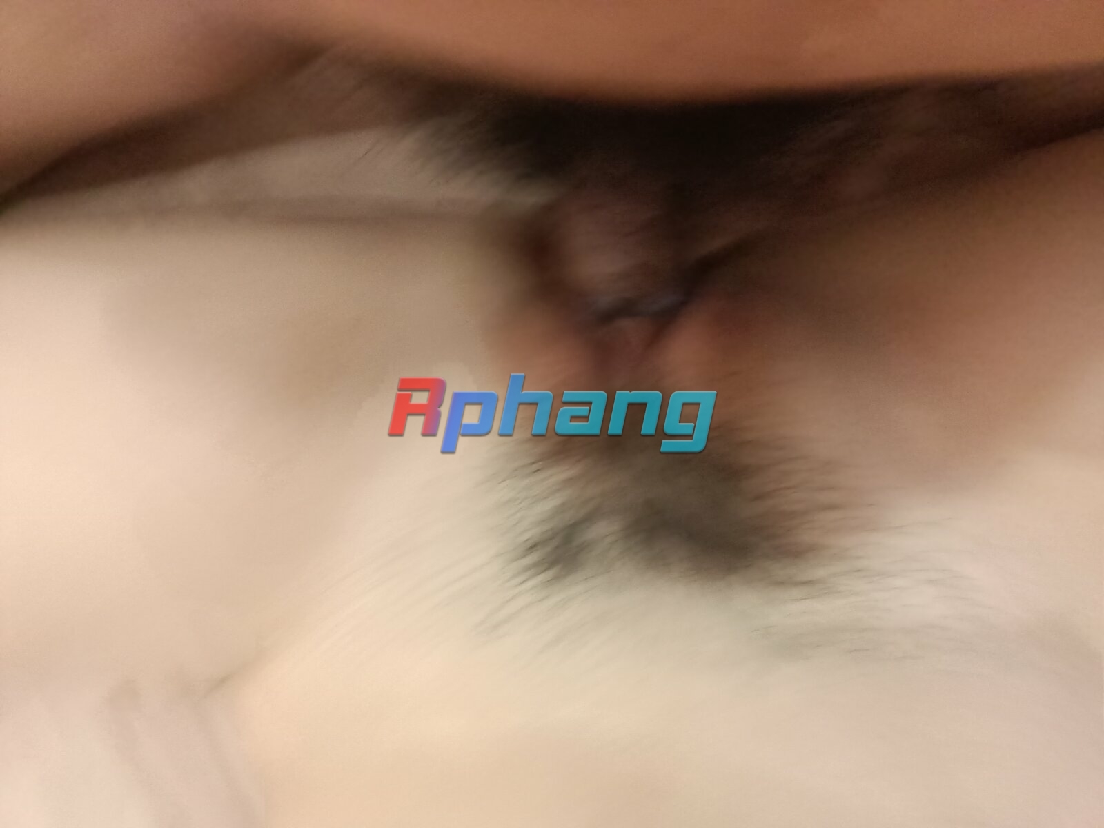 IMG20240928130845.jpg