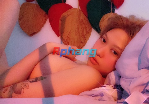 suzie2402_header.png