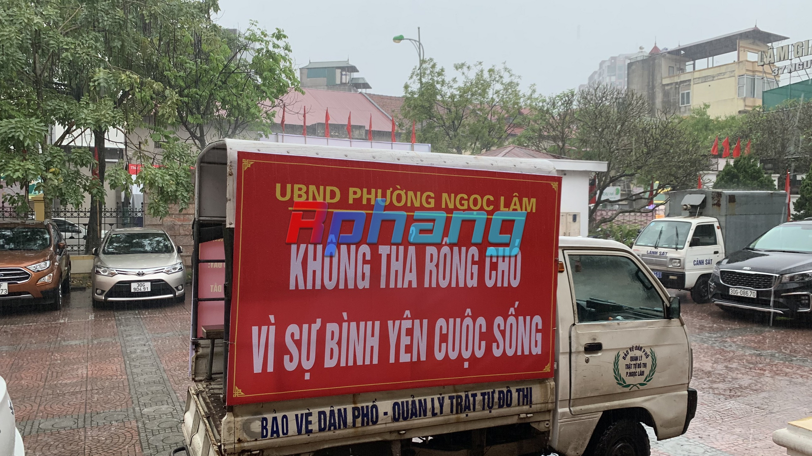 1728534041134.png