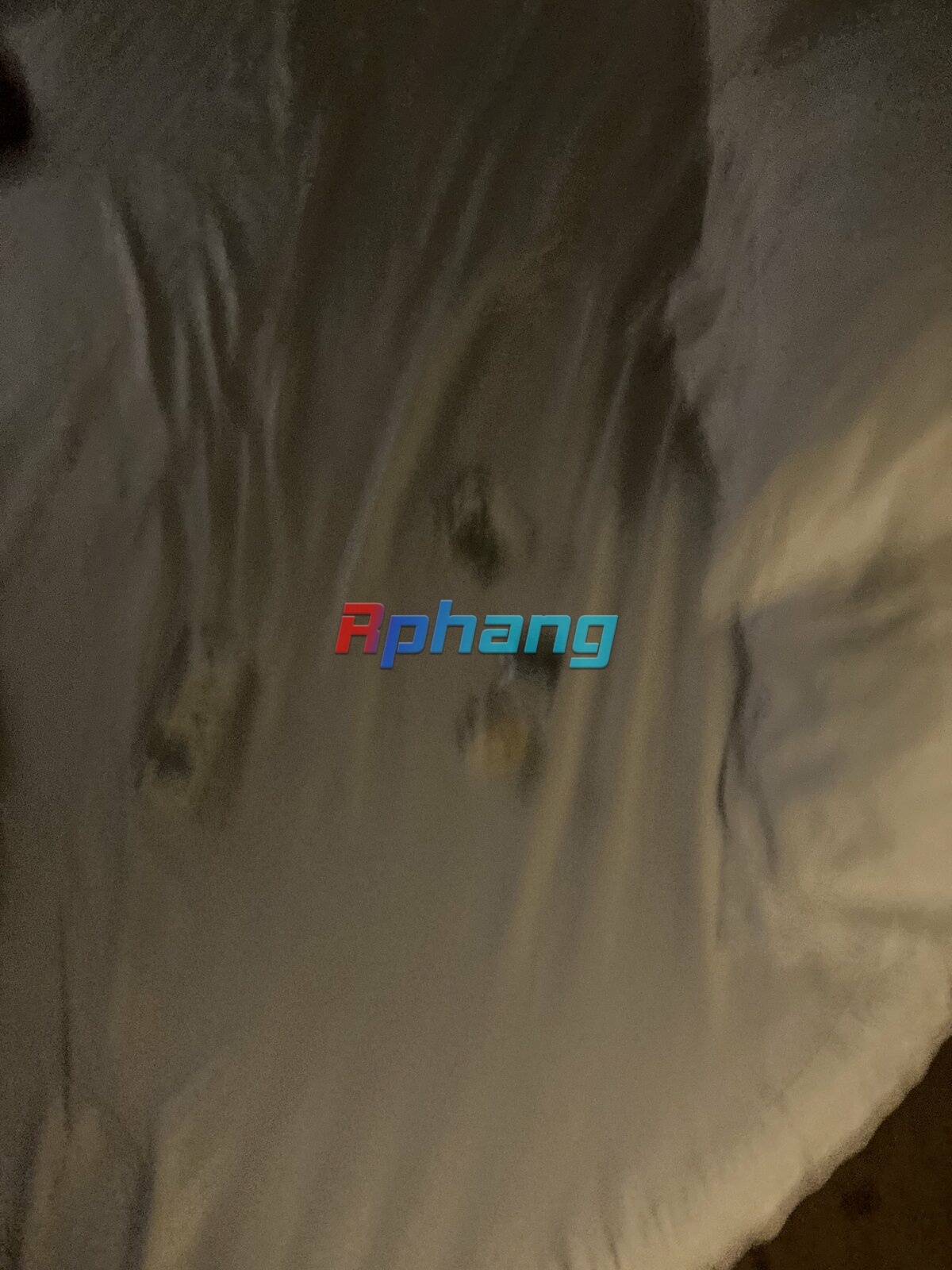 IMG_3015.jpeg