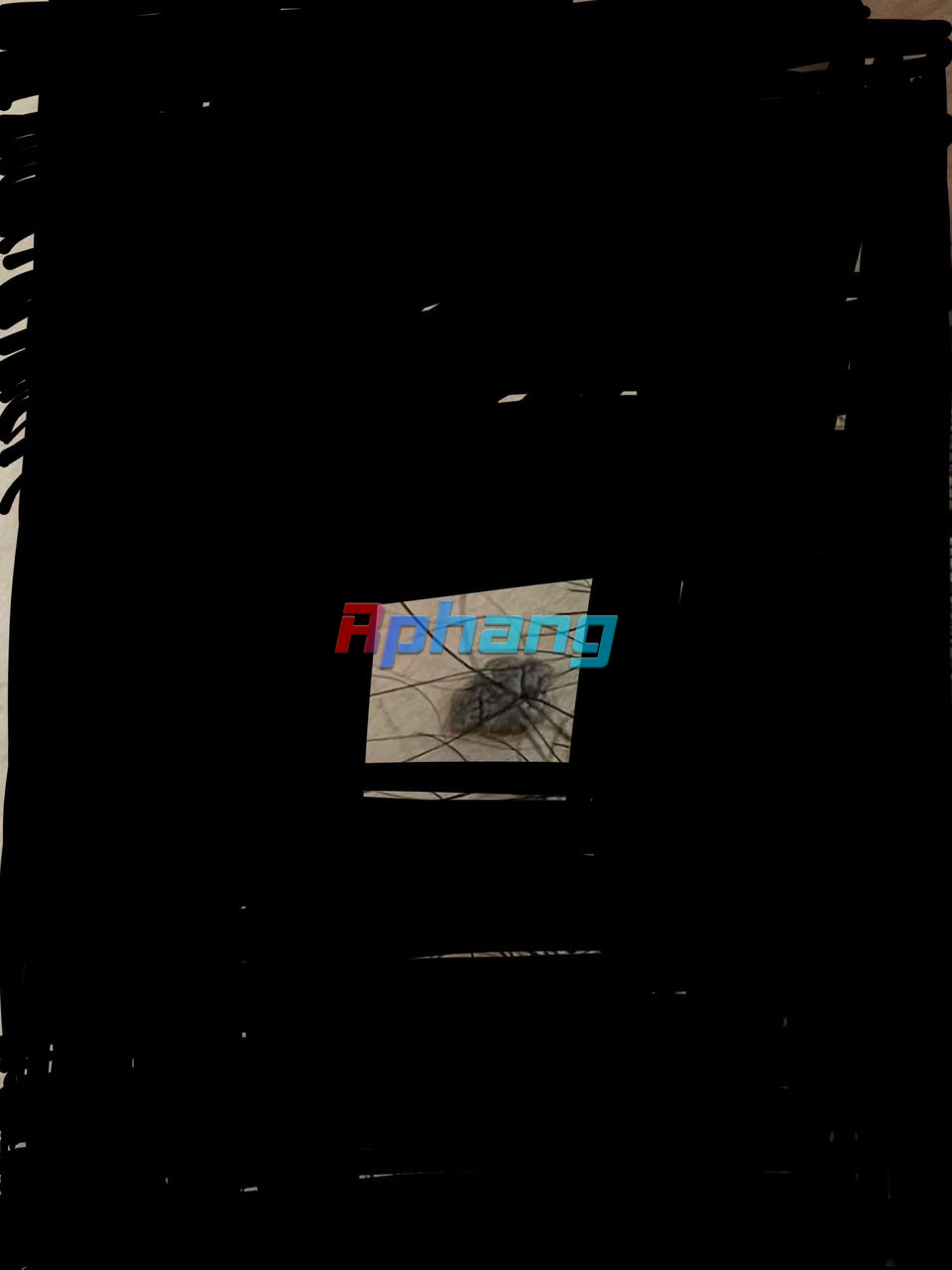 1729500432223.png
