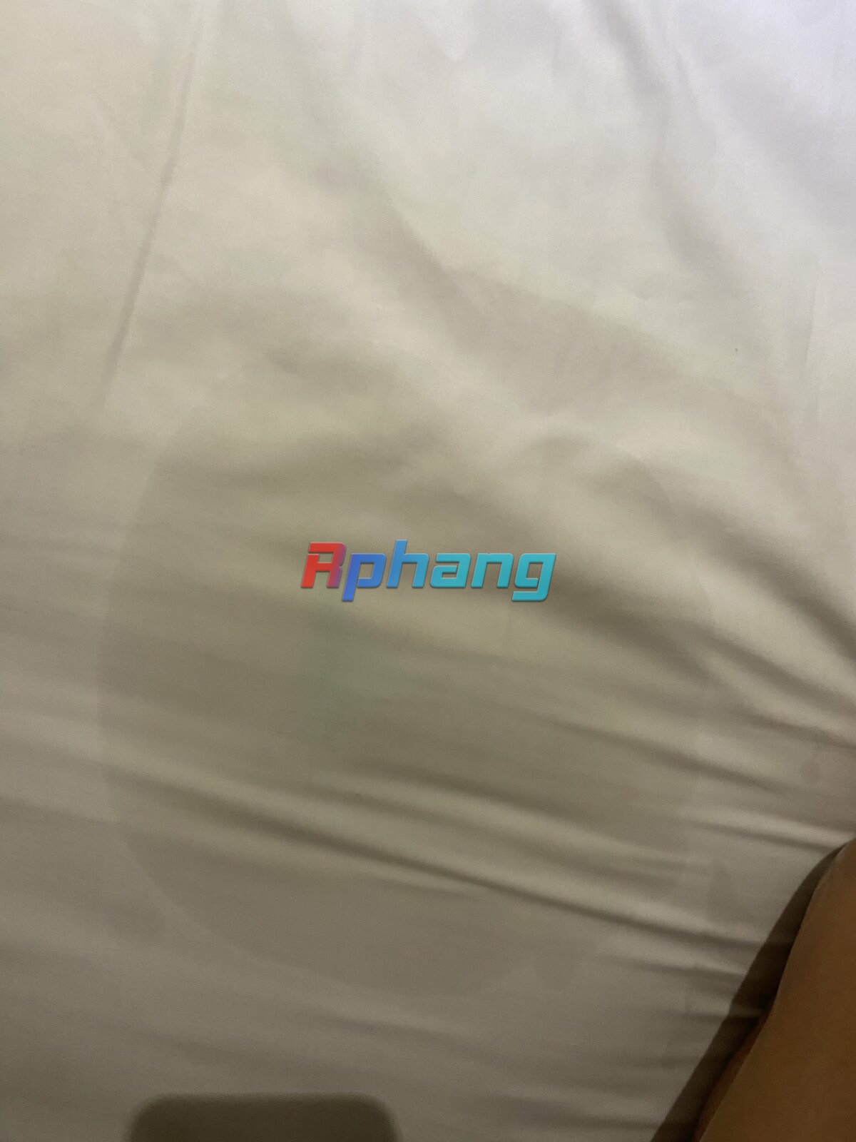IMG_4232.jpeg