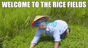 1729821127579.png