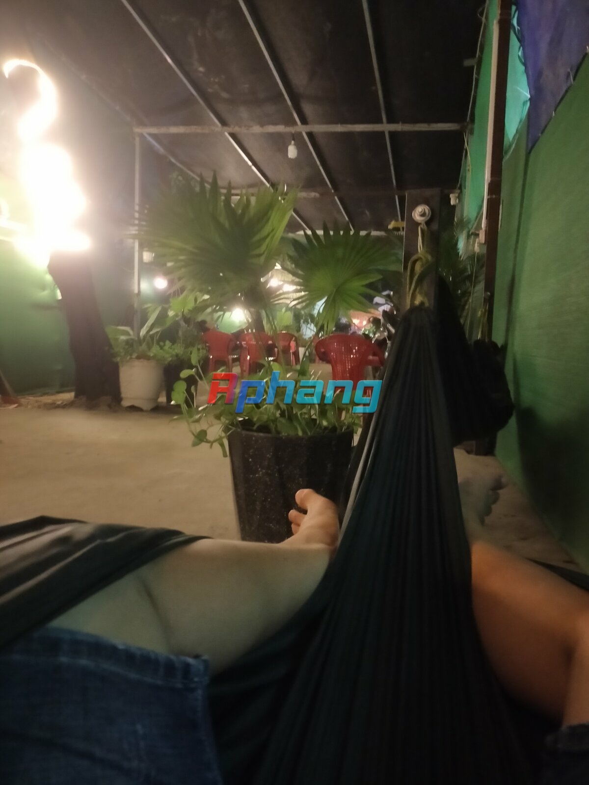 IMG20241026202424.jpg