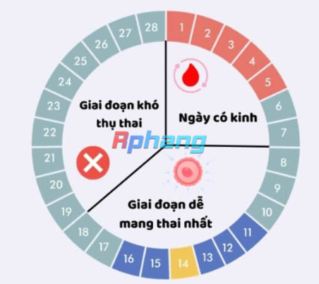 1730995235828.png